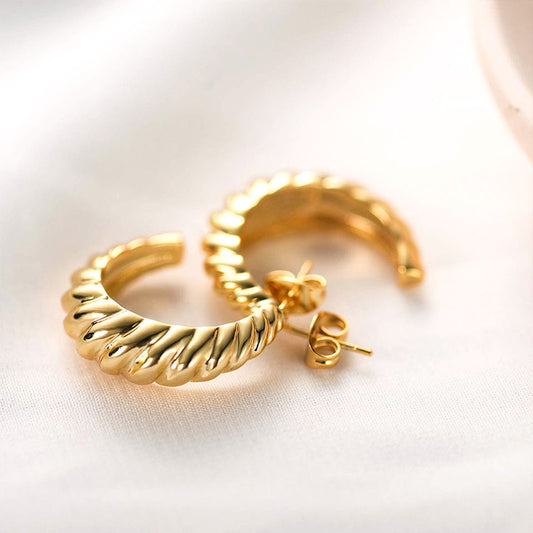 Geometric Shaped Twisted Trending Earrings for Women